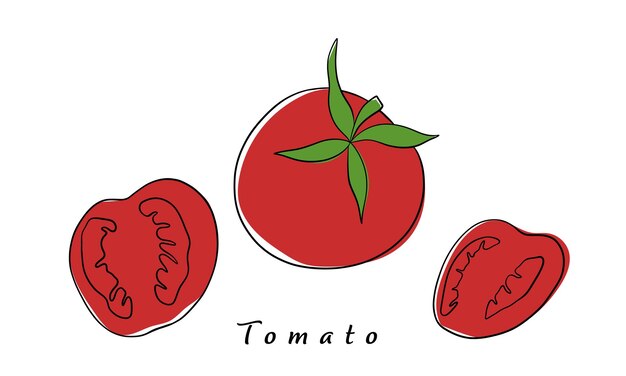 Frische rote tomaten tomate in eine halbe scheibe und eine ganze tomate geschnitten