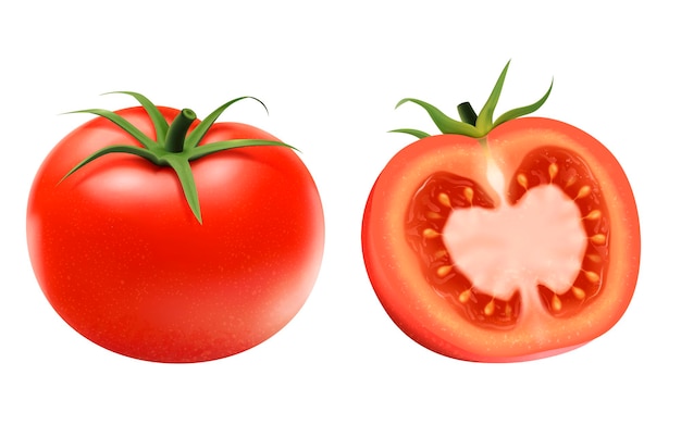 Frische Tomatenelemente, ganz und halb isoliert