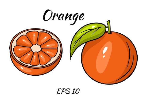 Frische tropische orangfrucht im karikaturstil