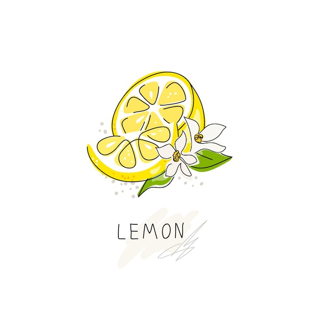 Frische Zitronenfrüchte mit weißen Blüten und grünen Blättern Logo Ganze Zitrone in halbe Scheibe geschnitten
