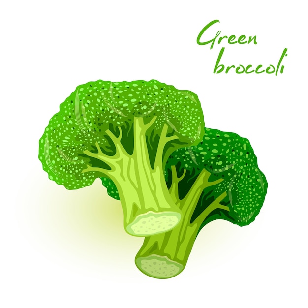 Frischer brokkoli. kalabresisches gemüse. verzweigter kohl