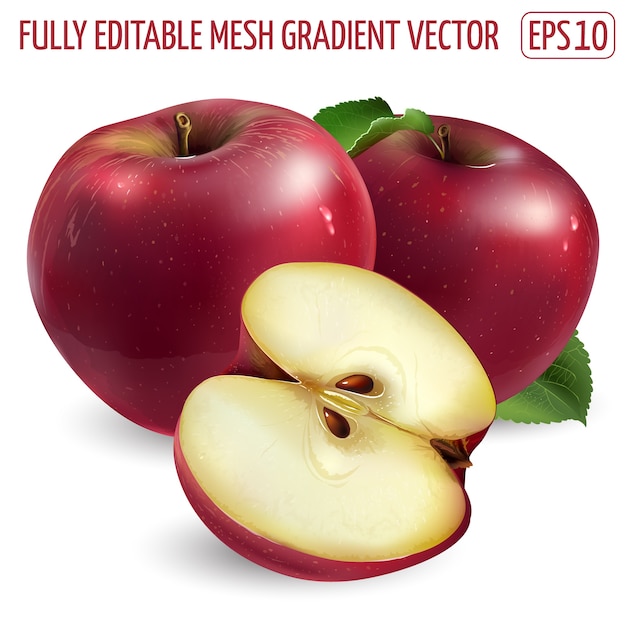 Frischer roter Apfel - gesundes Nahrungsmittelentwurf. Realistische Illustration.