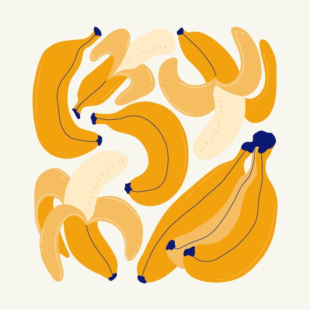 Früchte abstrakte Elemente Nahrung und gesunde Zusammensetzung Moderne trendige Matisse-Minimalstil