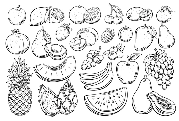 Vektor früchte und beeren skizzieren vektorsymbole gesetzt. gezeichnete monochrome himbeere, avocado, traube, pfirsich, ganz, halb, kirsche, mango, scheibe wassermelone. mandarine, zitrone, aprikose und ets
