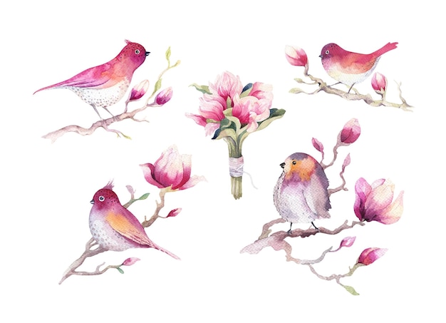 Vektor frühling aquarell illustration eines vogels auf einem zweig sakura-zweig ein symbol des frühlings