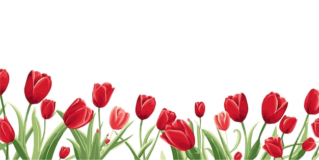 Frühlings-Hintergrund Tulpenblume untere Grenze unter der Tapete freier Raum für Text