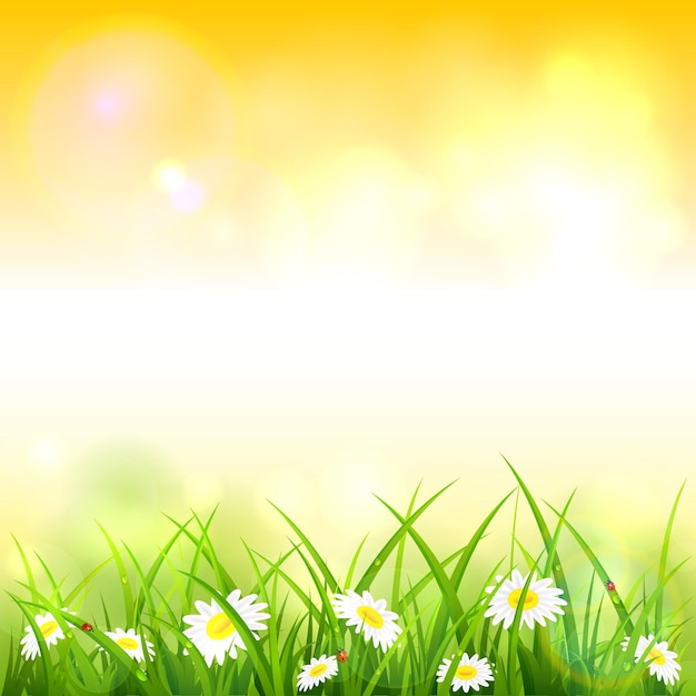 Frühlings- oder sommernatur. blumen und gras mit tropfen und marienkäfern auf orangem hintergrund, illustration.