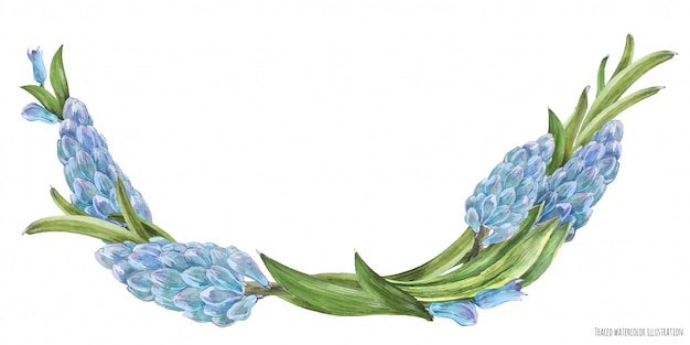 Frühlingsaquarellbogen mit hyachinthblumen