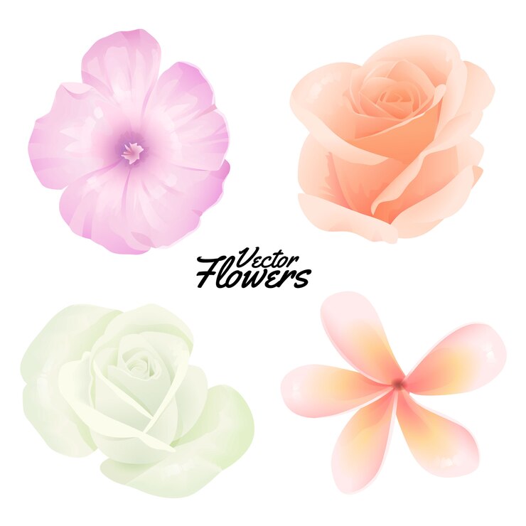 Frühlingsblumen
