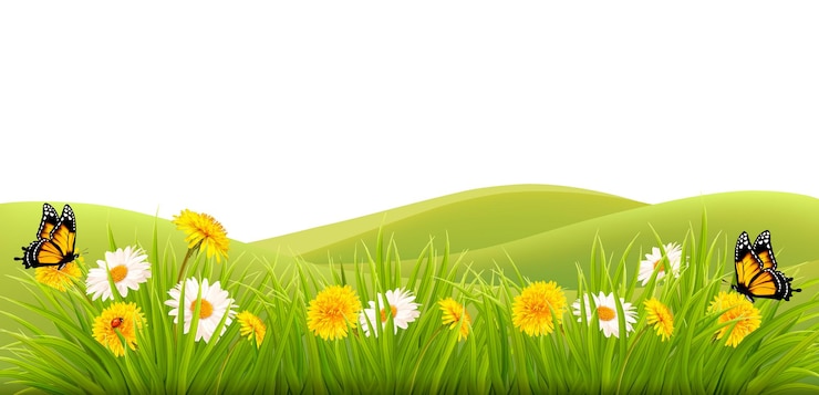 Vektor frühlingshintergrund mit gras, blumen und schmetterlingen. vektor.