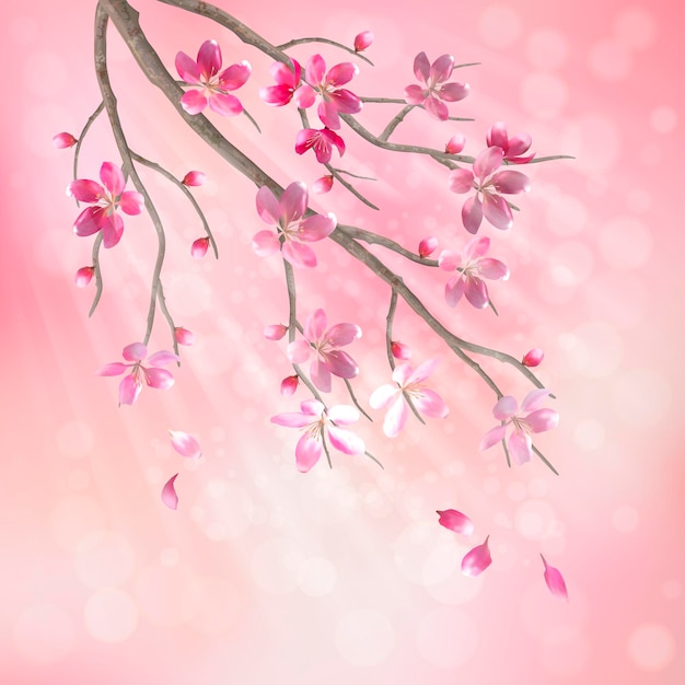Frühlingskirschblütenbaumzweig mit schönen rosa blüten