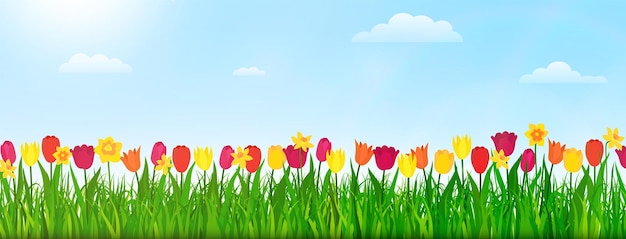 Frühlingsnaturlandschaft mit blumen, grünem gras und blauem himmel vektorillustration