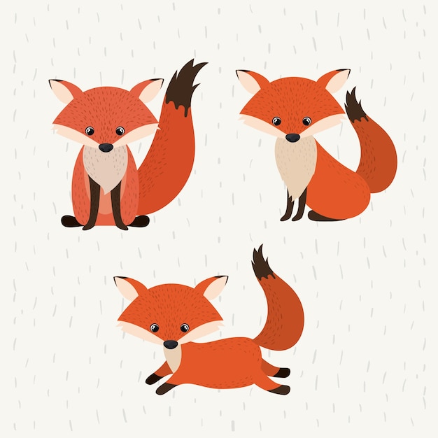 Fuchs süße Tierwelt