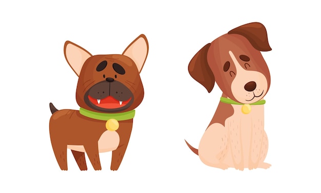 Funny Bulldog und Jack Russell Terrier Hund mit Halsband als vierbeiniger Freund und Haustier Vektor Set