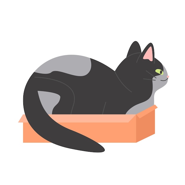 Funny cat sitting in carton box