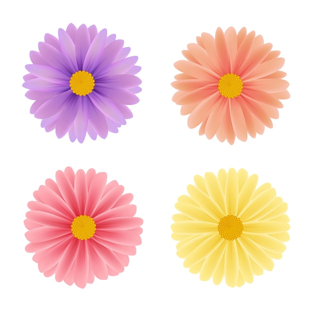 Gänseblümchen-Garbera-Blumenset, Vektor-3D-Illustration