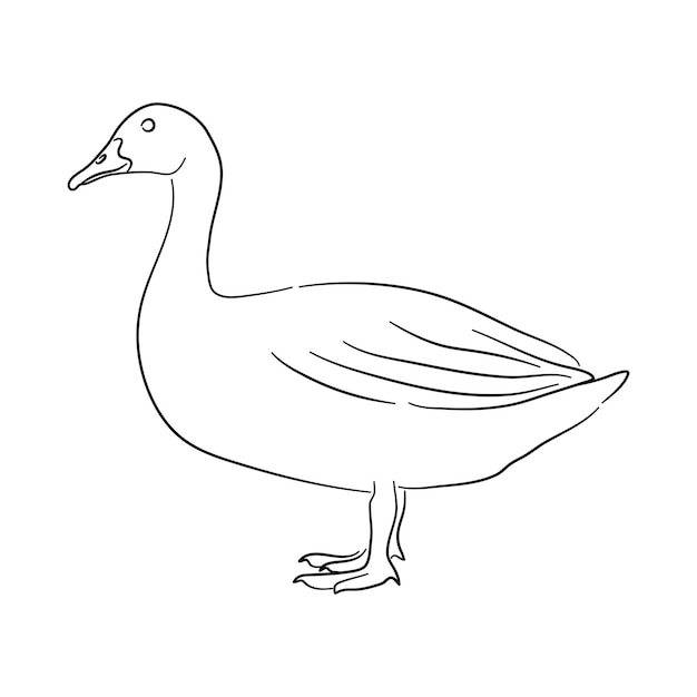 Vektor gans-illustration im doodle-stil vektor isoliert auf weißem hintergrund