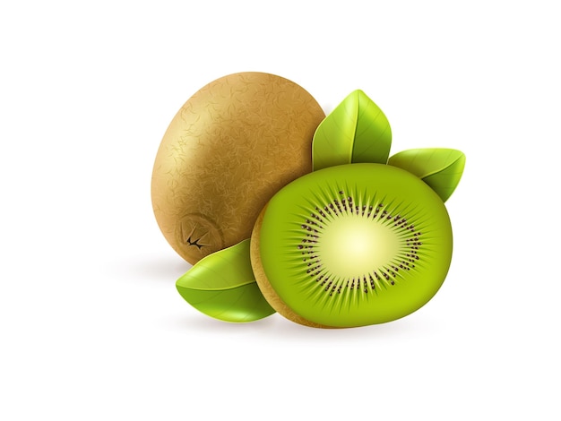 Ganze geschnittene Avocado-Früchte auf weißem Hintergrund