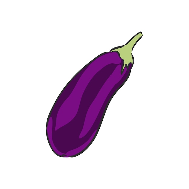 Ganze geschnittene vektorillustration der frischen aubergine. aubergine, vektorskizzenillustration