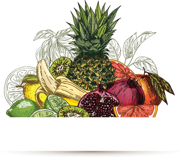 Gartenfrüchte-Banner