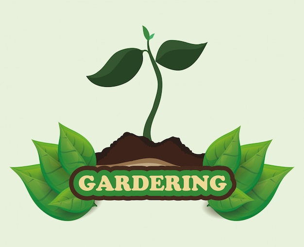 Gartengestaltung