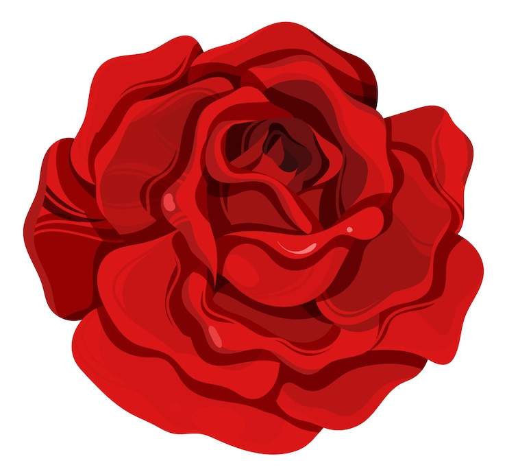 Vektor gartenrose rote sommerblume dekorationselement.