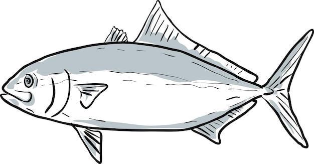 Gebänderter Ruderfisch, Golf von Mexiko, Cartoon-Zeichnung