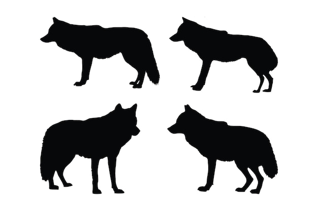 Gefährliche Wildtiere wie Wolfssilhouetten auf weißem Hintergrund Wolf-Ganzkörper-Silhouettensammlung Wilde Wölfe stehen in verschiedenen Positionen Fleischfressende Wölfe-Silhouettenbündel