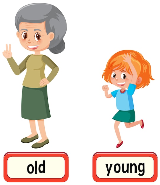 Gegenüberliegende wörter für alt und jung