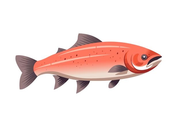 Gegrillter Lachsfilet Fisch gekochter Thunfischsteak Zeichentrick-Vektor-Seafood-Illustration