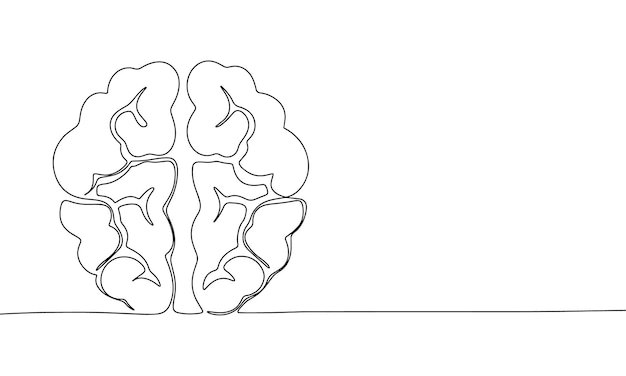 Vektor gehirn isoliert auf weißem hintergrund strichzeichnungen gehirn eine linie kontinuierliche vektorillustration