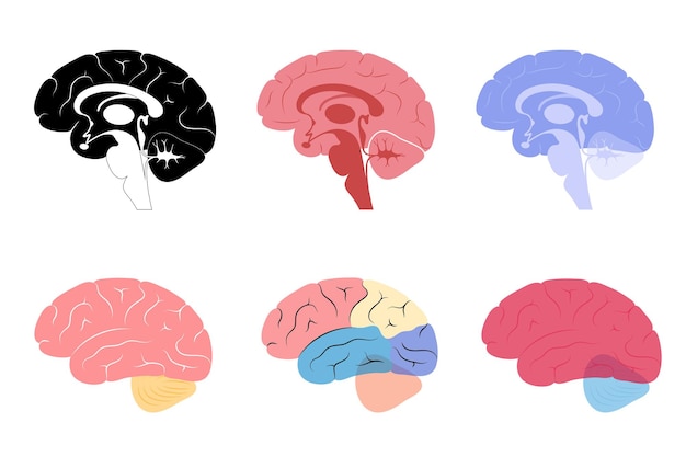 Gehirn-logo-set für neurologie-klinik. infektion im menschlichen gehirn.
