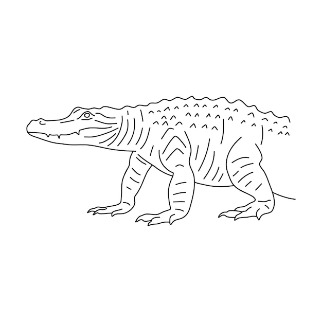 Gekritzel der handgezeichneten Alligator-Vektorillustration