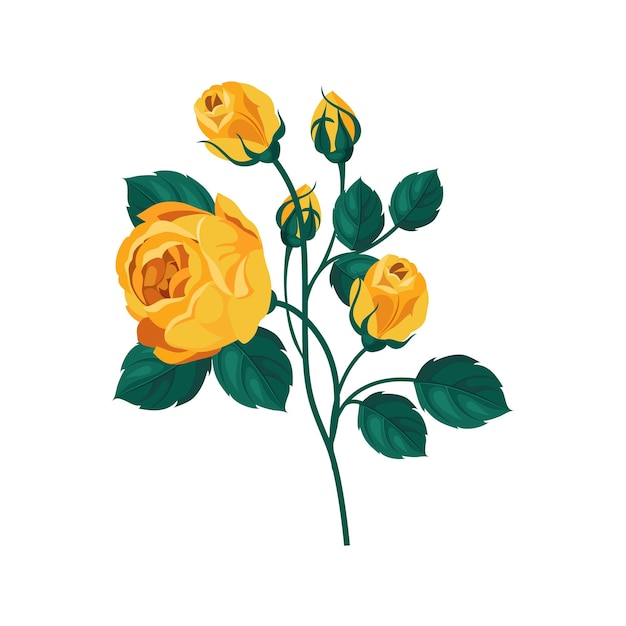 Gelbe Rose handgezeichnete realistische Illustration