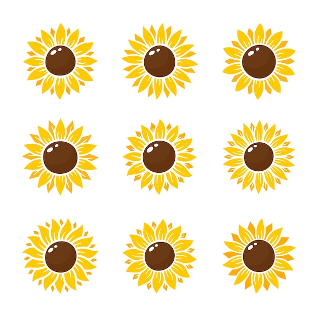 Gelbe Sonnenblumen blühen im Frühling, um das Willkommensschild zu schmücken