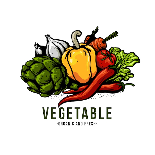 Gemüse Illustration