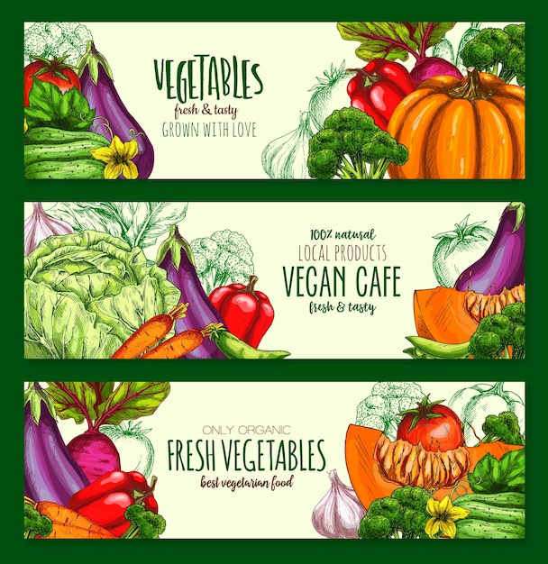 Vektor gemüseernte vegane café-vektor-banner gesetzt