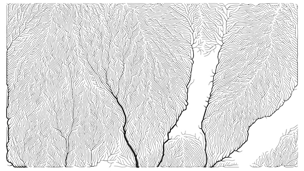 Generative Verzweigungsstruktur
