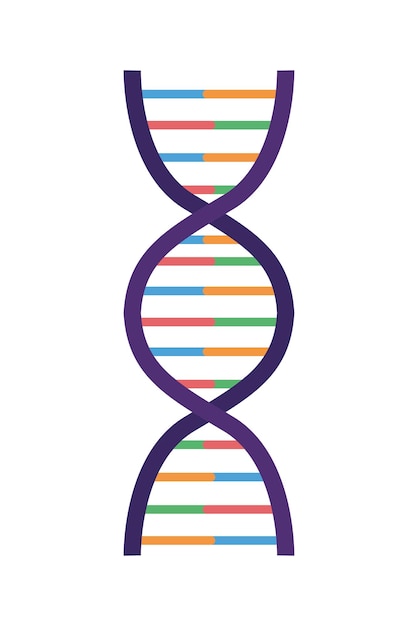 Vektor genetische dna-wissenschaft icon isoliert