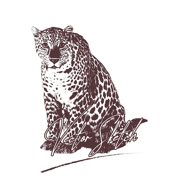 Vektor gepard hand gezeichnete skizzenvektorillustration