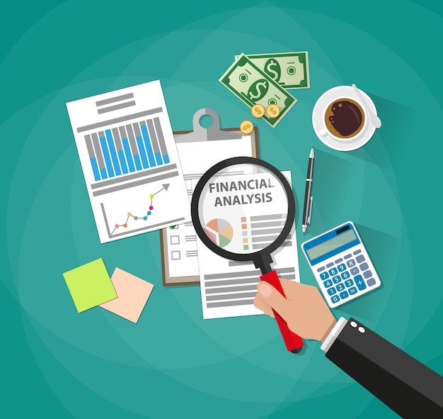 Geschäftsanalyse und -planung, Finanzbericht