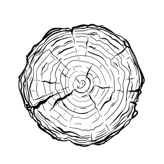 Geschnittener baumstamm, handgezeichnet im doodle-stil. strichzeichnung eines runden stumpfes.