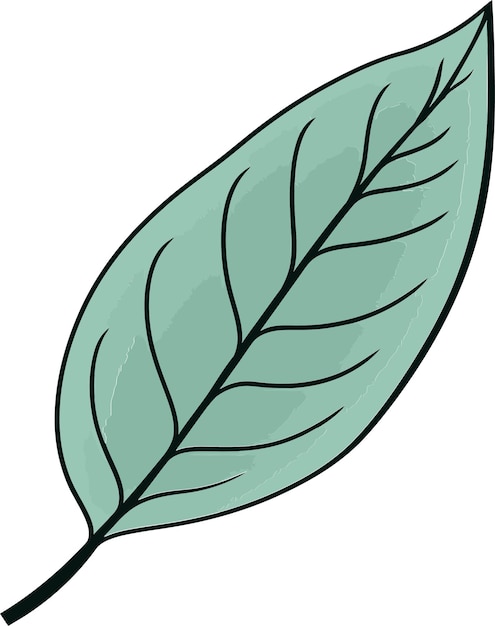 Vektor gestaltung von serenity leaf vector illustration essentialsmeisterung von leaf vector art tipps für lebensechte