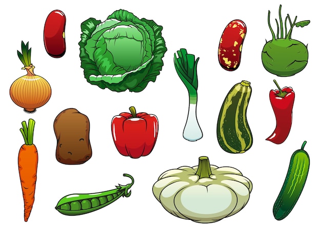 Gesunde Bio-Kohl Karotte Pfeffer Kartoffel Zwiebel Gurke Zucchini Erbse Pattypan Kürbis Lauch Kohlrabi Bohnengemüse.