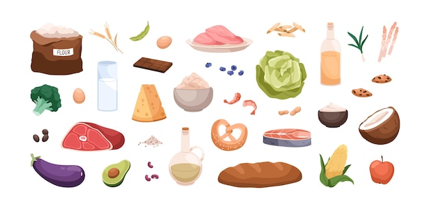 Vektor gesunde ernährung, ernährungsset. fleisch, milchprodukte, gemüse, obst, öl, avocado und mehl, brot. eiweiß, kohlenhydrate und fett essen. flache cartoon-vektorillustrationen isoliert auf weißem hintergrund