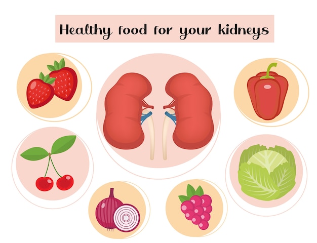 Gesunde nahrung für ihre nieren infografik.
