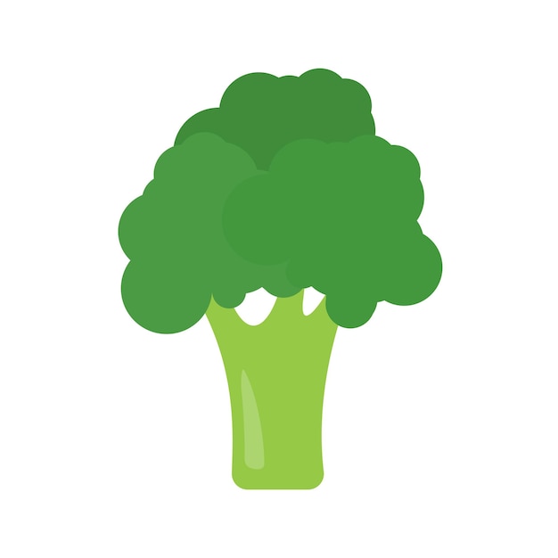 Gesundes Gemüse des grünen Brokkolis für Kinder