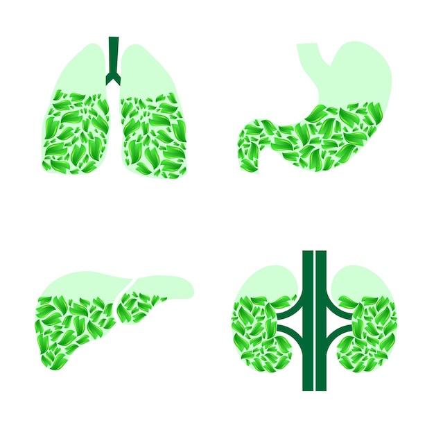 Vektor gesundheit der menschlichen organeleben