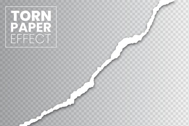 Getrenntes zerrissenes Papier auf durchsichtigem Hintergrundvektor