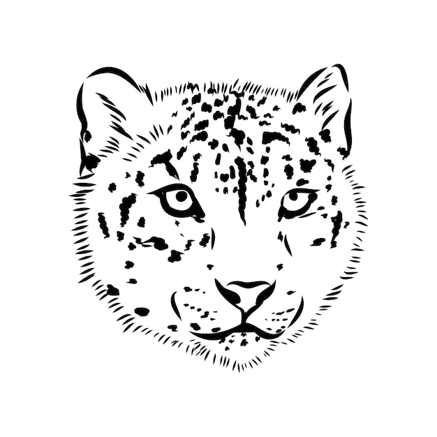 Gezeichnete gekritzelskizze des schneeleoparden hand in der vektorillustration der pop-arten-art